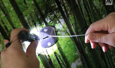 Ертіс ауданында ер адам дүкен тонады деген күдікке ілінді (ВИДЕО)