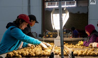 Павлодар облысында қайта өңделген өнім экспортын 70% ұлғайту жоспарлануда
