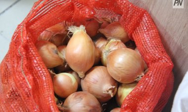 Павлодар облысында пияз арзандады