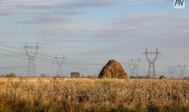 Животноводов Успенского района полностью обеспечат кормами