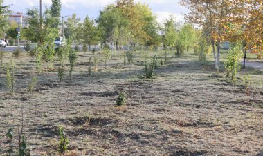 В Аксу реконструируют городской парк (ВИДЕО)