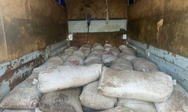 Павлодарда 2,5 тонна шаян мен жарты тоннадан астам балық тәркіленді