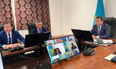 Павлодар облысында жаңа дәннің өніп кету қаупі бар