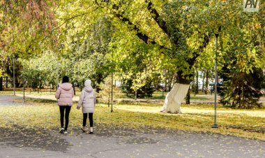 Туманную неделю спрогнозировали в Павлодарской области