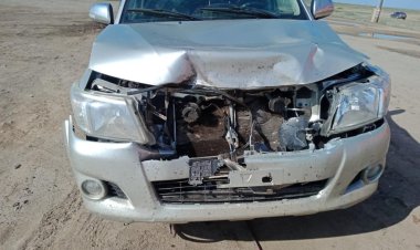 Павлодар облысында қараусыз жылқылардың кесірінен жол апаты болды