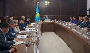 В промышленной зоне Павлодара изменят полив зелени