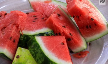 Павлодарцы смогут сыграть в шахматы арбузами