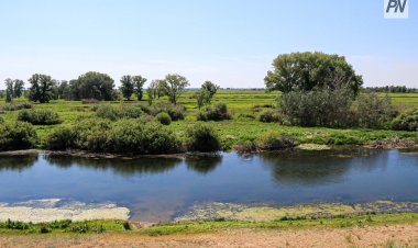 Павлодар присоединится ко Всемирному дню чистоты