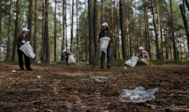 Тазалық күні: Павлодарлықтарды көпір жанында күтеді