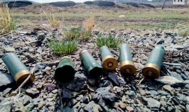 Двоих павлодарцев задержали с оружием