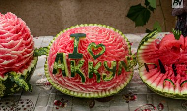 В Аккулы показали арбузы-тяжеловесы