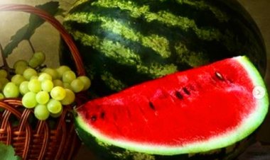 Сельхозярмарка пройдет 16 сентября в Павлодаре