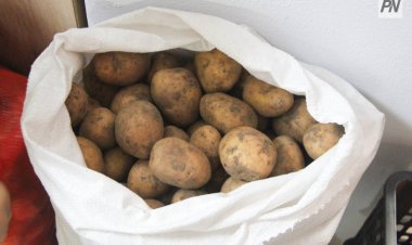 Ертең Павлодарда ауыл шаруашылығы жәрмеңкесі өтеді