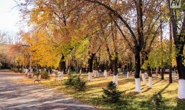 Павлодар облысында аптаның соңына дейін жылы болады
