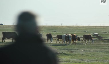 Павлодарда сегіз ай бұрын жоғалған жігіт мал бағып жүрген жерінен табылды