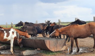 «С господдержкой – легко!»: как павлодарский металлург стал бизнесменом
