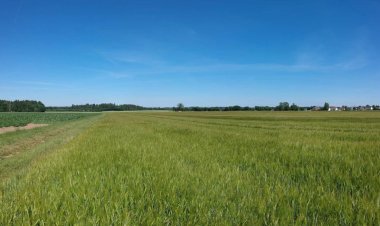 Коррупционные риски изучили павлодарские общественники