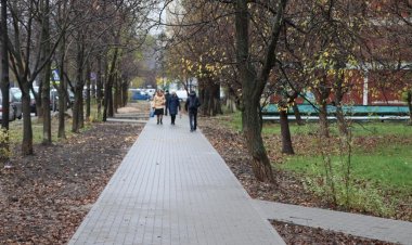 Мини-скверы обустраивают в Павлодаре