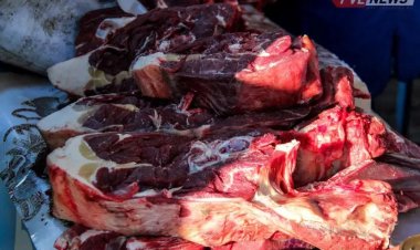 Павлодарцев пригласили на сельхозярмарку 23 сентября