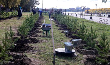 Павлодарда саябақтарға автоматтандырылған суару жүйелерін енгізу тапсырылды