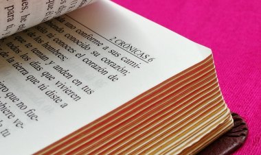Американка создаёт вечерние наряды из старых книг
