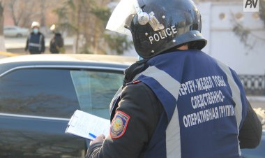 «Ертіс орманы»  лауазымды тұлғалары орманды заңсыз кесуге қатысты деген күдікке ілінді