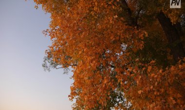 Конец сентября в Павлодаре будет тёплым