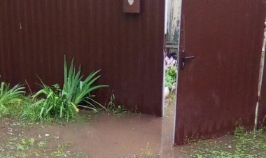 Затопило частный двор: Асаин Байханов извинился перед жительницей Экибастуза (ВИДЕО)