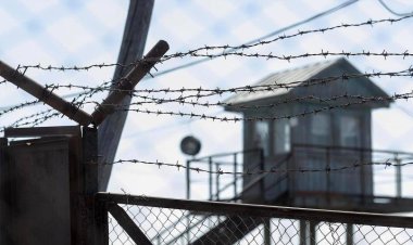 Павлодарда сотталған колонияда сүйіктісіне ұсыныс жасады