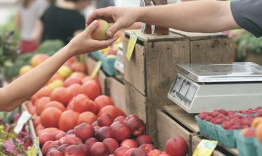 Успен ауданында кеңейтілген ауыл шаруашылығы жәрмеңкесі өтеді
