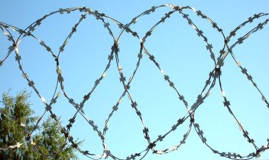 «А вдруг она откажет»: заключенный павлодарской колонии сделал предложение девушке