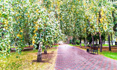 29 сентября в Павлодарской области будет небольшой дождь