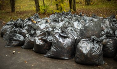 Павлодарда дәстүрлі тазалық және абаттандыру айлығы жалғасуда