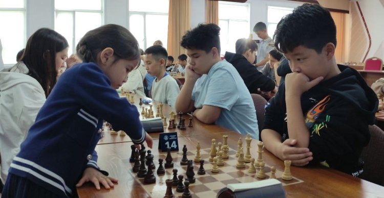 Павлодарда шахматтан облыстық фестиваль өтті