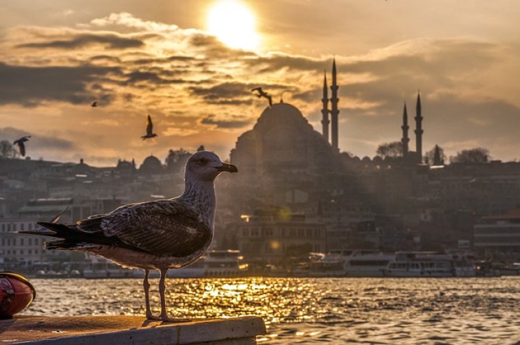 В Стамбуле снизилось количество доступной воды