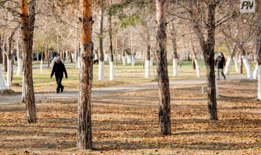 Павлодарда бір апта бойы хабарсыз кеткен әйел табылды