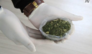 Павлодарские полицейские выявили канал поставки наркотиков