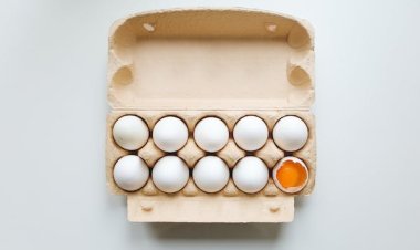 Павлодарда жәрмеңкеде жұмыртқаны жергілікті құс фабрикалары ұсынады