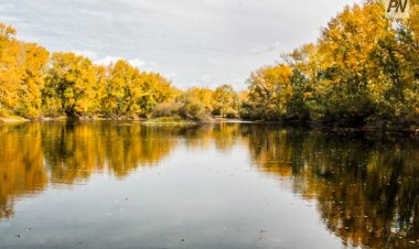 7 октября в Павлодарской области будет без осадков