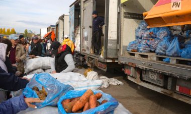 Больше 500 тонн сельхозпродукции реализуют павлодарские аграрии в столице