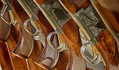 Павлодарец неправильно хранил оружие