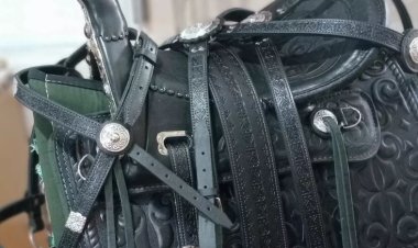 Павлодарлық шебердің ер-тоқымдарына Дубай мен Кавказдан тапсырыстар түскен