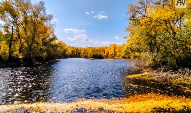+25°С және қар аралас жаңбыр: Павлодар облысында осы аптада күтілетін ауа райы