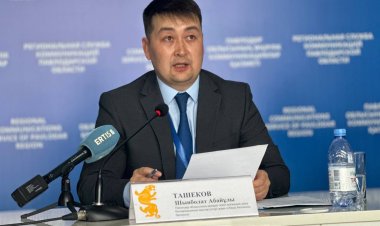 Zhas project: Павлодар облысында жұмыссыз жастарға гранттар ұсынылады