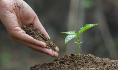 Кемеңгер ауылында армандар саябағы құрылады (ВИДЕО)