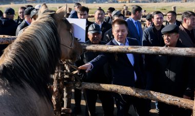 Жылқы шаруашылығындағы мәселелерді Павлодар облысының сала мамандары талқылады
