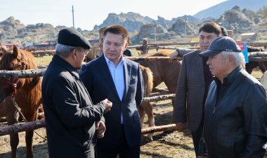 Проблемы коневодства обсудили в Павлодарской области