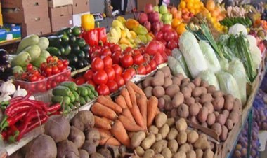 Сельхозярмарка ждет павлодарцев 14 октября