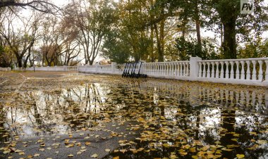 Снег с дождём пройдёт в Павлодарской области 16 октября