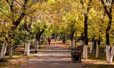 18 октября в Павлодарской области будет солнечно